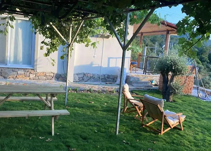 Magnificent Sunset View فتحية