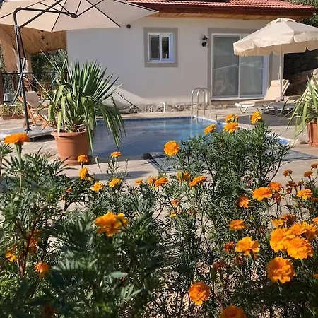 Magnificent Sunset View Vilă *