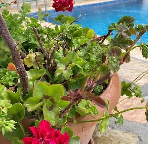 Villa Magnificent Sunset View