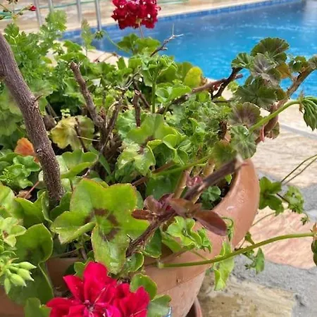 别墅 Magnificent Sunset View